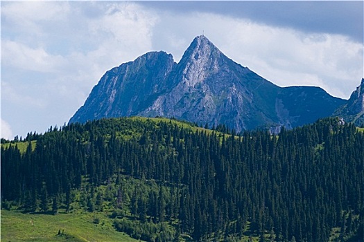 顶峰