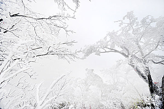 天门山雾凇雪景