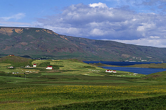 冰岛,西北地区,海岸,农场,风景