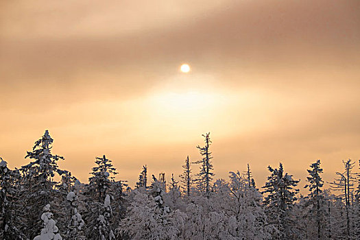 风景,积雪,球座,乌云,区域,俄罗斯