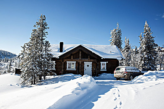 原木,房子,冬天