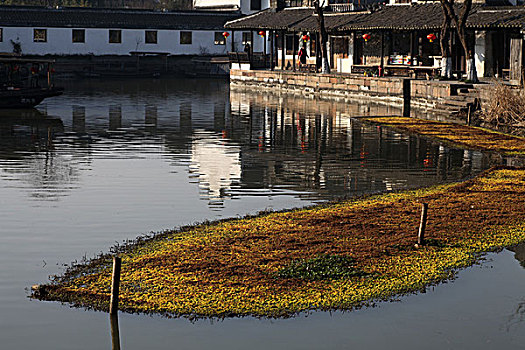 西塘,古镇,建筑,胡同,河道,旅游,热闹,房子,客栈,酒吧,商店,小吃,店铺,招牌,幌子,繁华,江南,水乡,小桥