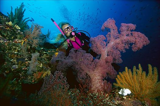 潜水,软珊瑚,脚,深,所罗门群岛
