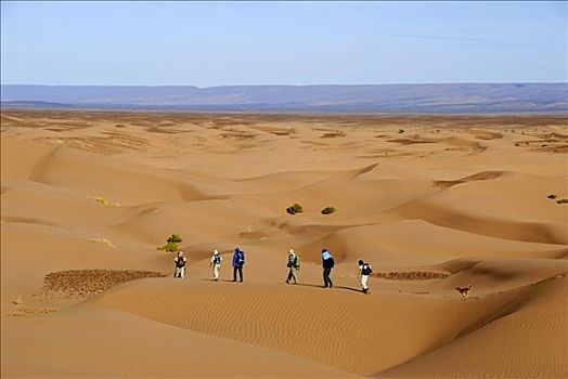沙漠,跋涉,游客,远足,无限,靠近,摩洛哥
