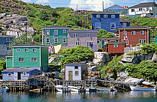 明亮,涂绘,房子,渔村,玫瑰,纽芬兰,加拿大