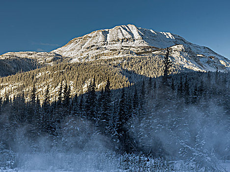 风景,树,积雪,山,背景,阿拉斯加公路,北方,落基山脉,地区性,市区,不列颠哥伦比亚省,加拿大