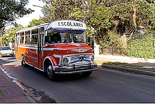 校车,布宜诺斯艾利斯,阿根廷