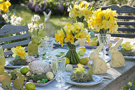 遮盖,复活节餐桌,水仙花