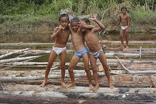 孩子,姿势,漂浮,原木,雨林,河,西部,加里曼丹,婆罗洲,印度尼西亚,东南亚