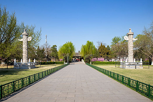 北京大学景色