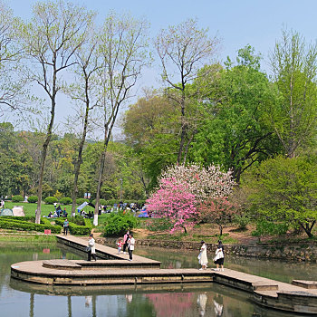 武汉植物园,春天