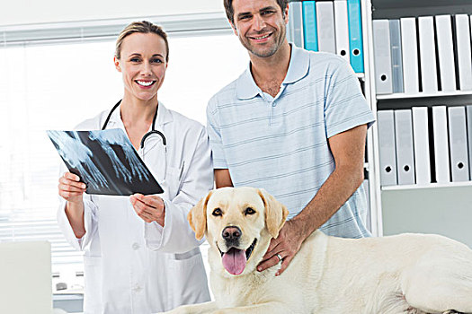 宠物主人,兽医,x射线,狗