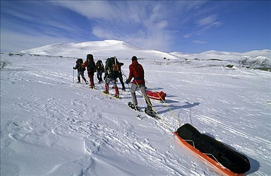 雪地鞋,远足者,运输,雪橇,自然保护区,瑞典,斯堪的纳维亚,欧洲