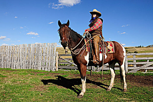 女牛仔,坐,马,畜栏,萨斯喀彻温,加拿大