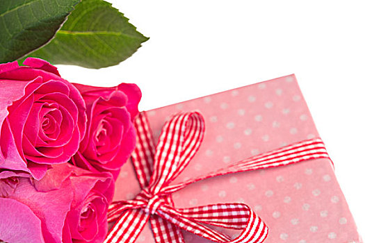粉色,玫瑰,靠着,圆点花纹,包装,礼物,白色背景,背景