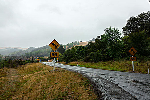 新西兰路