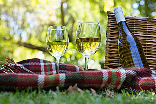 葡萄酒杯,瓶子,毯子,公园