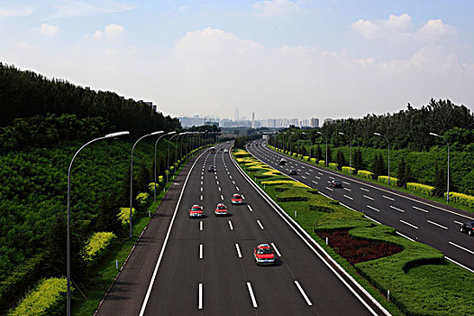 高速公路,树,绿化