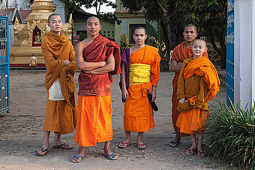 年轻,僧侣,新信徒,钳,金三角,掸邦,缅甸,亚洲