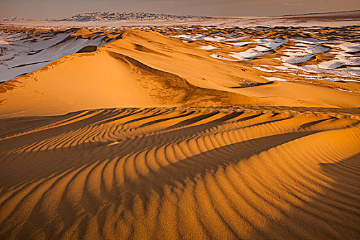 沙丘,冬天,戈壁沙漠,蒙古