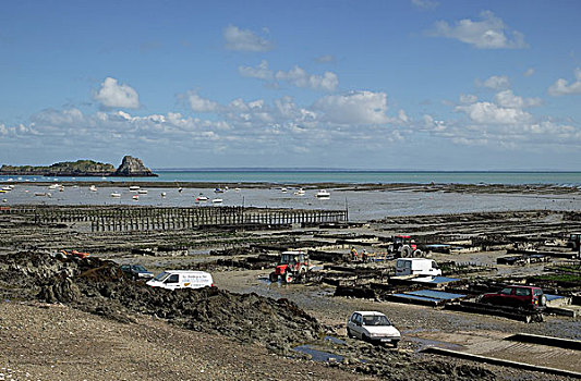 牡蛎养殖,布列塔尼半岛,法国