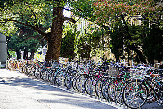 日本的大学