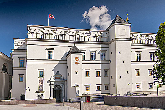 宫殿,公爵,立陶宛,国家博物馆,维尔纽斯