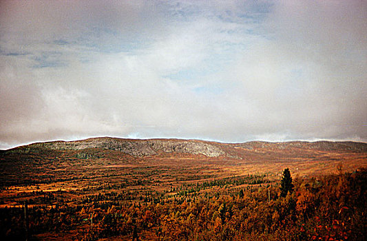 乡村,山,瑞典