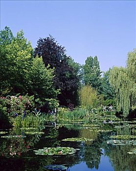 莫奈花园,法国