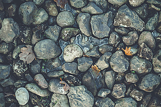 石头,堆,冬天,冰,叶子,鹅卵石,自然图案