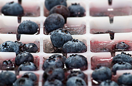 冰块,蓝莓,冰格