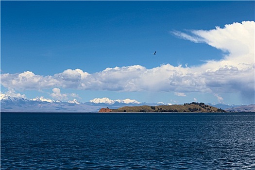 岛屿,月亮,提提卡卡湖,玻利维亚