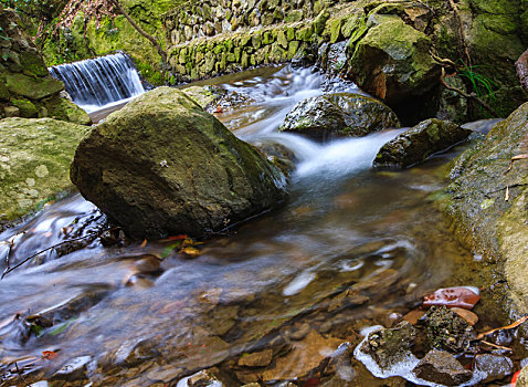 山泉,溪流,水