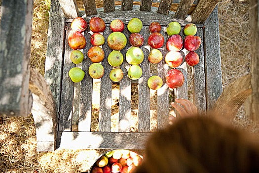 苹果,弄干,木椅