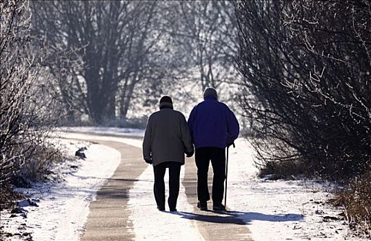 老年,夫妻,散步,冬天