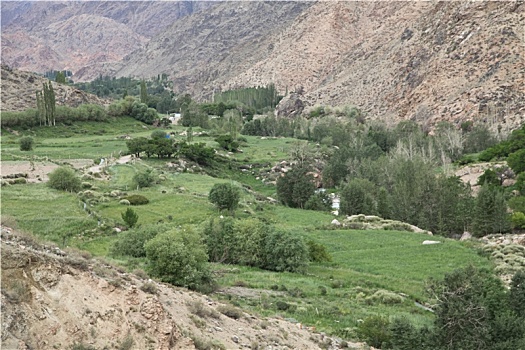 新疆哈密,天山河谷榆树沟美景
