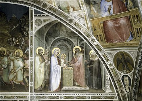 洗礼仪式,故事,耶稣,14世纪,壁画,洗礼堂,帕多瓦,意大利