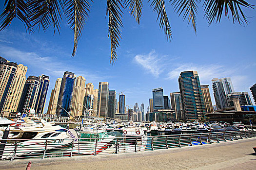 游艇,码头,高层建筑,背景,迪拜,阿联酋