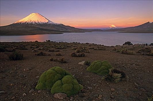智利,拉乌卡国家公园
