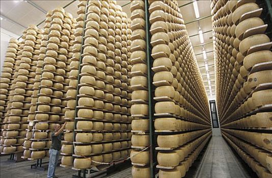 奶酪,存储,巴马干酪,工厂,艾米利亚罗马涅,意大利