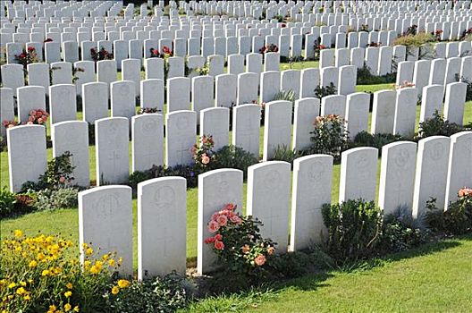 许多,白色,墓碑,排,墓穴,战争,英国,世界大战,法国,欧洲