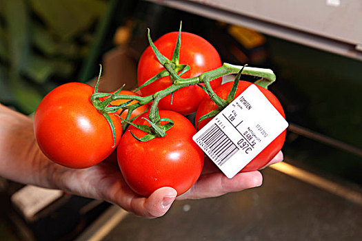 西红柿,食物,超市,德国,欧洲