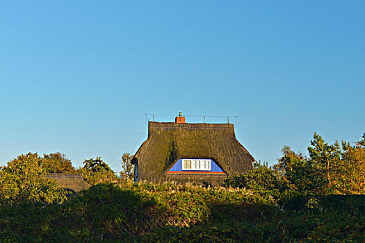房子,芦苇,屋顶,阿伦斯霍普,波罗的海,费施兰德-达斯-茨因斯特,西部,波美拉尼亚,德国