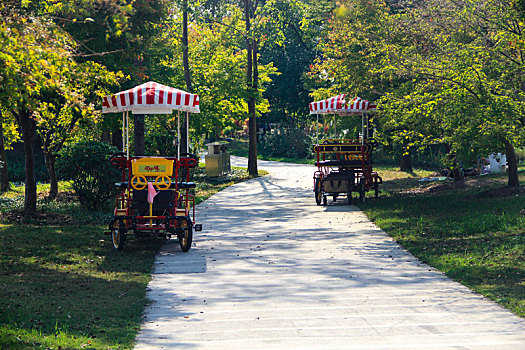 城市绿地,湿地公园