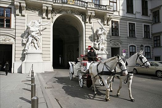 马车,进入,英雄广场,维也纳,奥地利