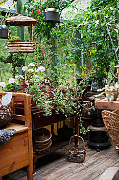 木制长椅,靠近,种植器皿,架子,温室