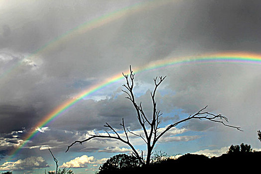 彩虹,澳大利亚,天空,中心,西部