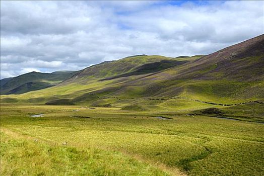 草,风景,格兰扁区,山峦,苏格兰,英国,欧洲