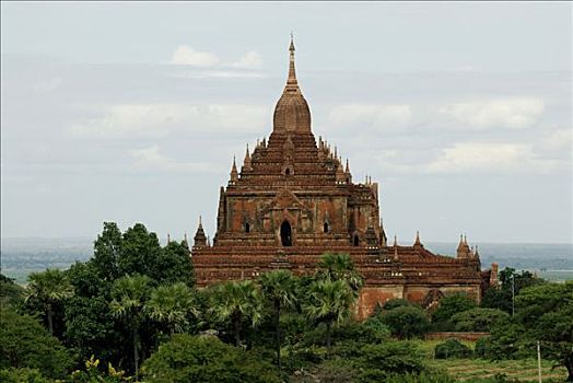 砖,塔,瑞喜宫塔,蒲甘,缅甸,东南亚