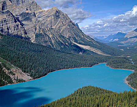 加拿大,艾伯塔省,班芙国家公园,青绿色,彩色,佩多湖,结冰,泥沙,悬吊,水,大幅,尺寸